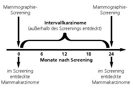 Abbildung 1: Zeitfenster von Intervallkarzinomen bei Mammographie-Screening-Teilnehmerinnen